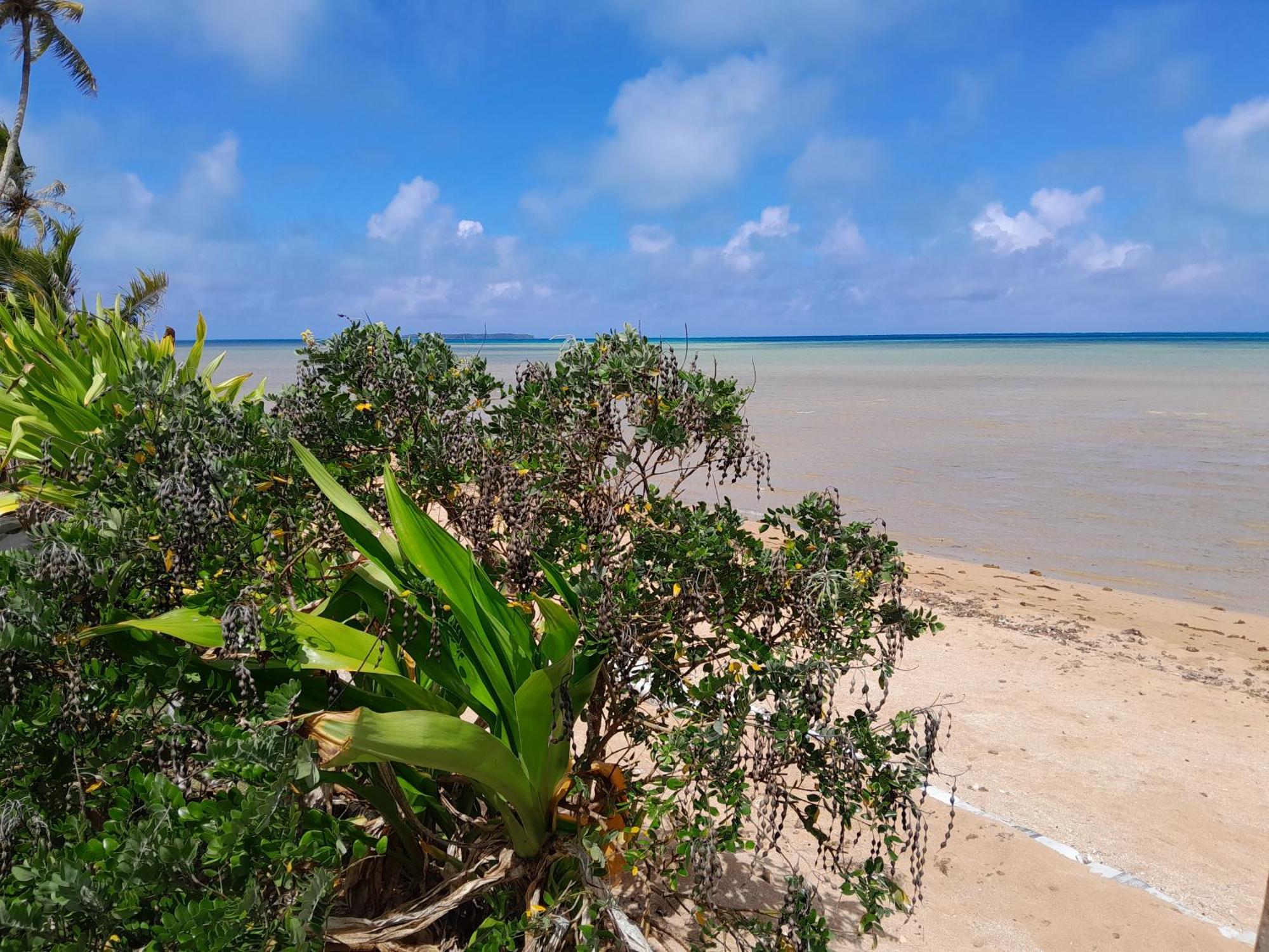 Mara'ai le spot Chambre Taahueia Deluxe avec piscine Mataura Extérieur photo